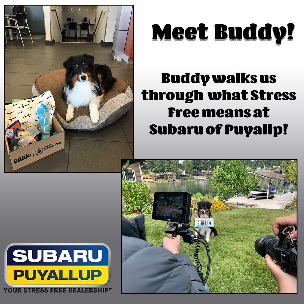Buddy landing page info.jpg