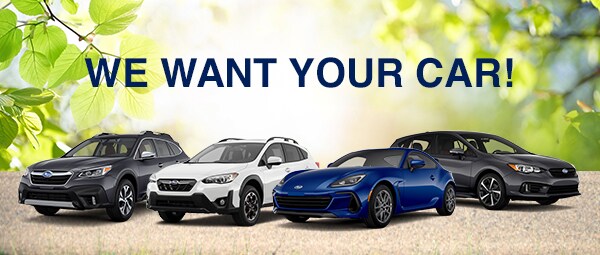 1_041222_Subaru_WeWanttoBuyYourCar.jpg