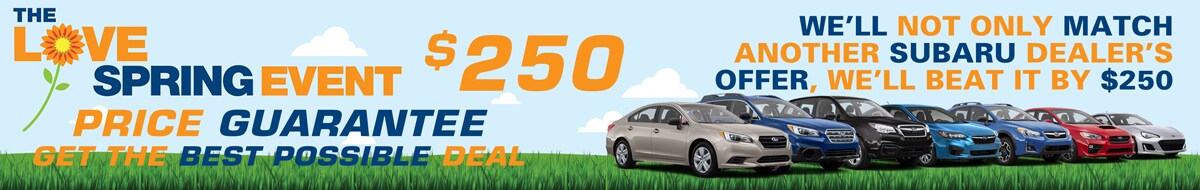 thin-pop-up-250.jpg