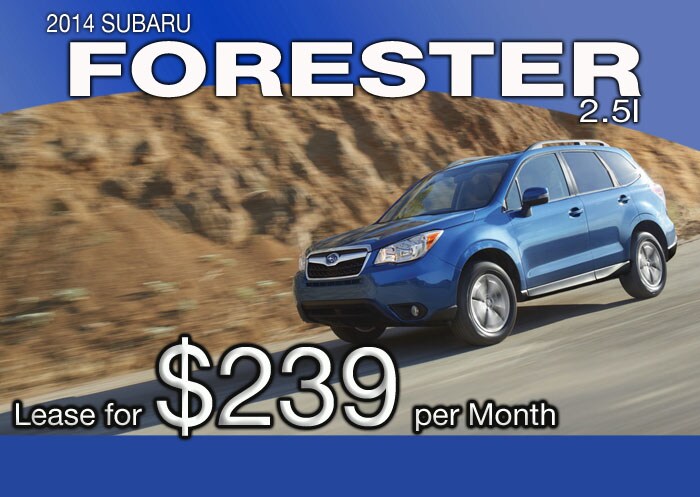 14Forester.jpg