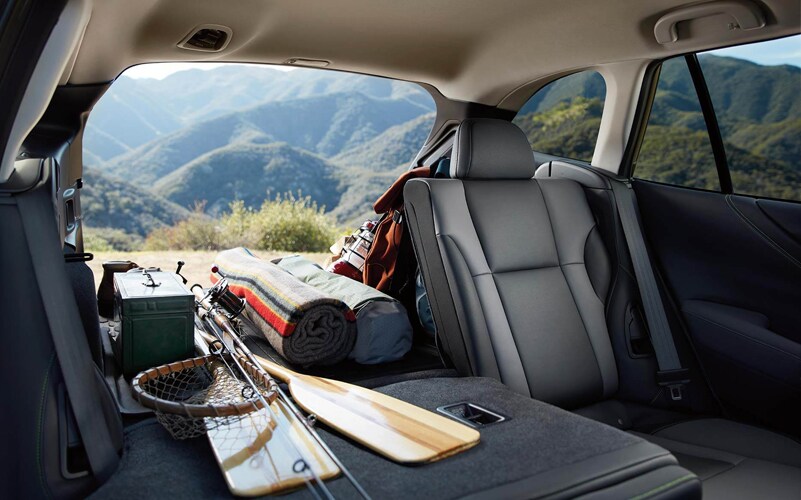 Subaru Outback Cargo Area