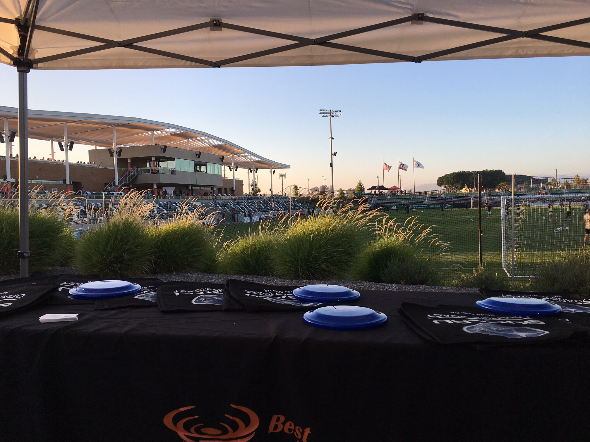 Soccer field beyond table with frisbees.JPG