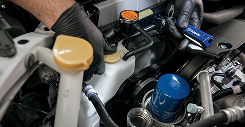 cabin-filter.jpg cabin-filter.jpg
