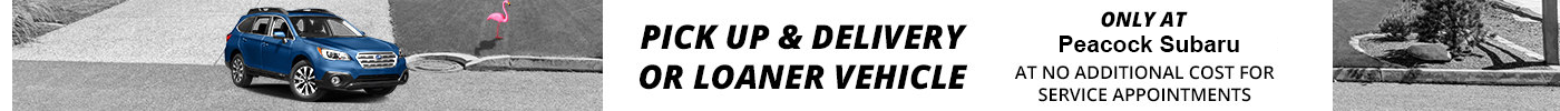 Pick Up Delivery.png