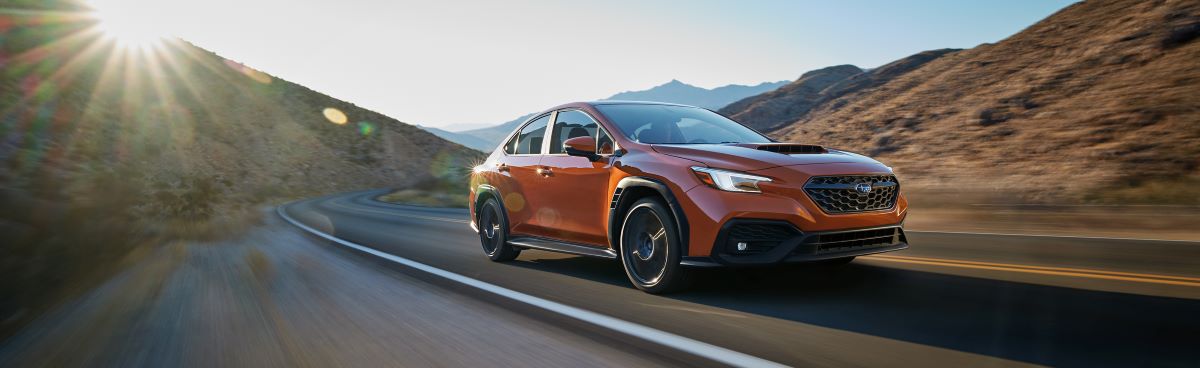 New 2022 Subaru WRX Sedan for Sale in Stamford CT