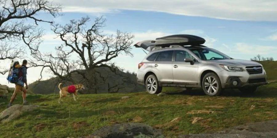 new subaru(1).jpg