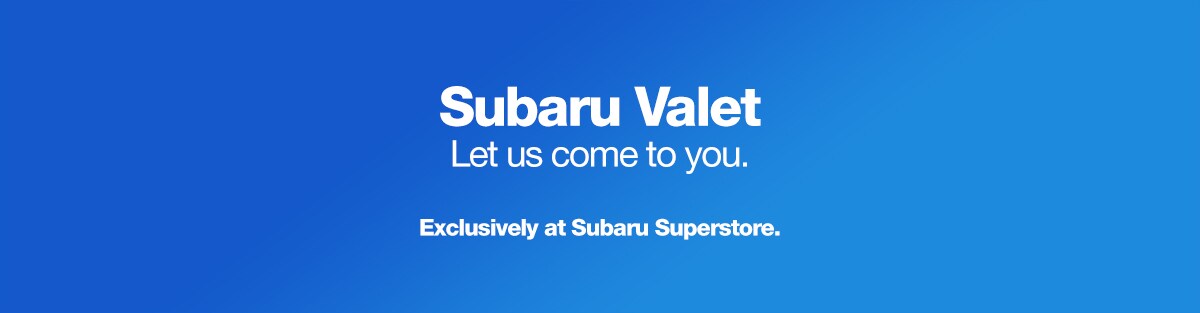 Valet.jpg