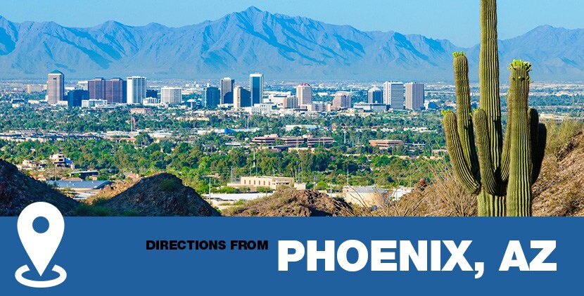 phoenix.jpg