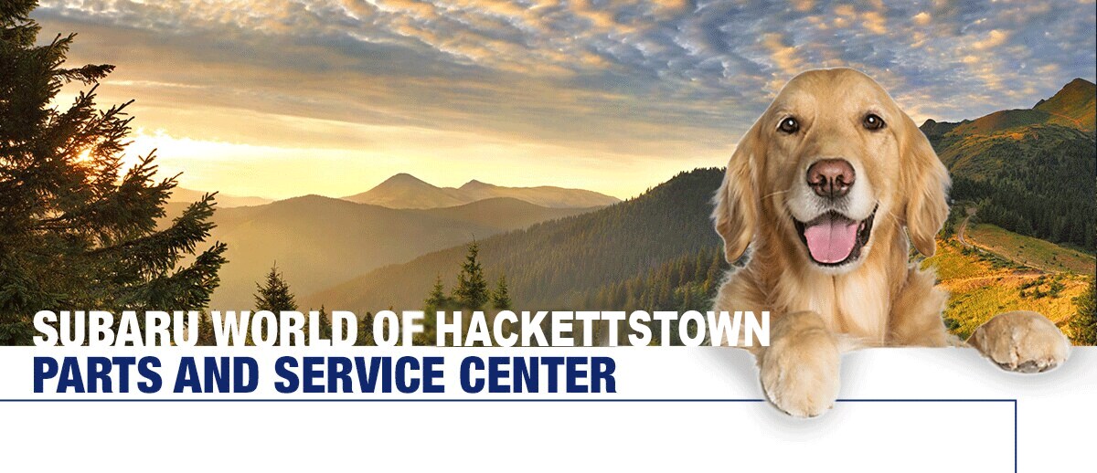 service-center-001.png