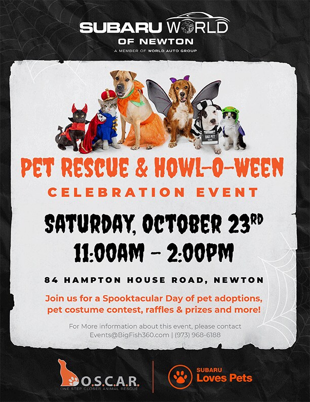 SubaruNewtonHalloweenPetAdoptionInvite-8.png