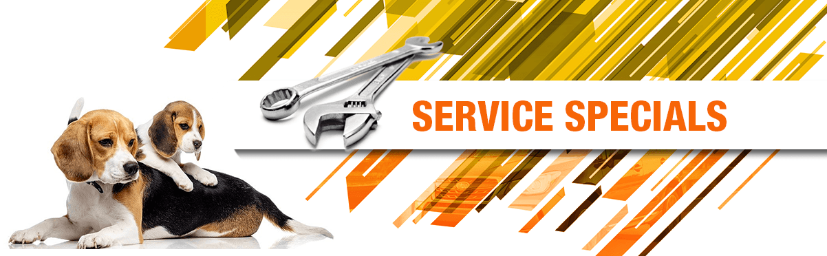 service.png