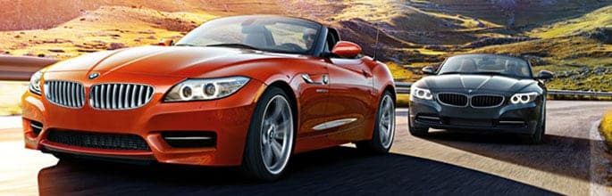 z4.jpg