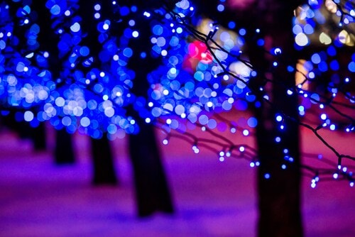 Holiday Lights