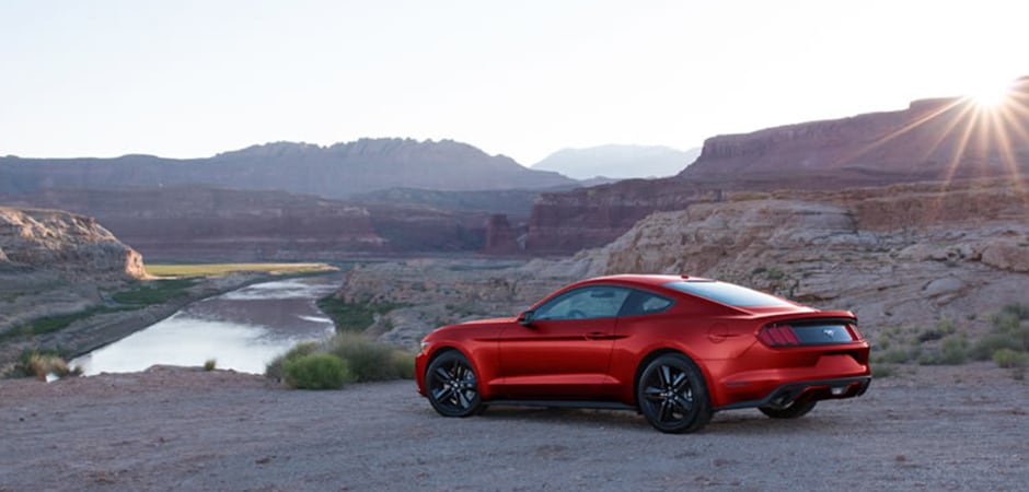 1- the hero mustang.png