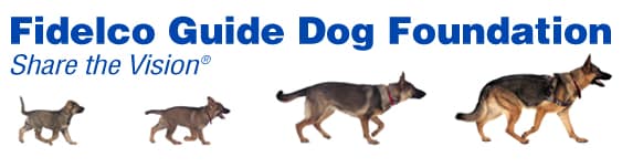Dog Foundation, Inc..png