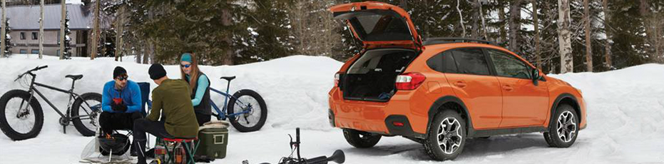 XV in Snow