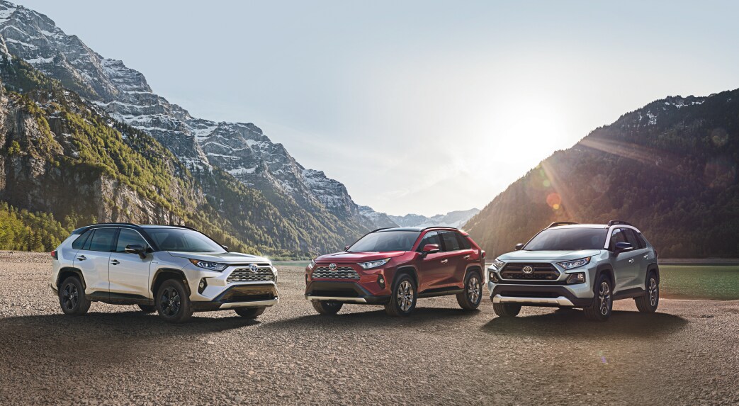 1 RAV4.png