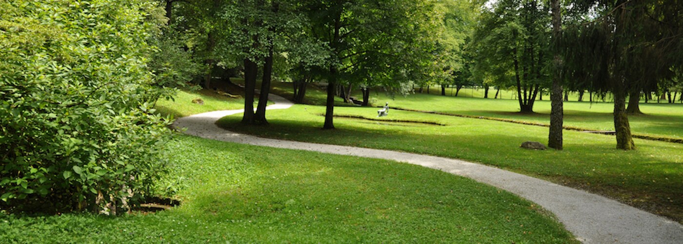 path winding through park