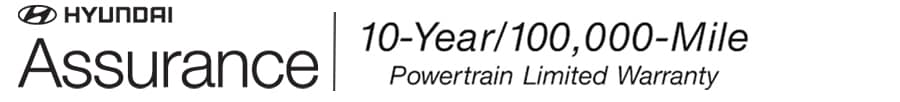 Hyundai Assurance Banner.jpg