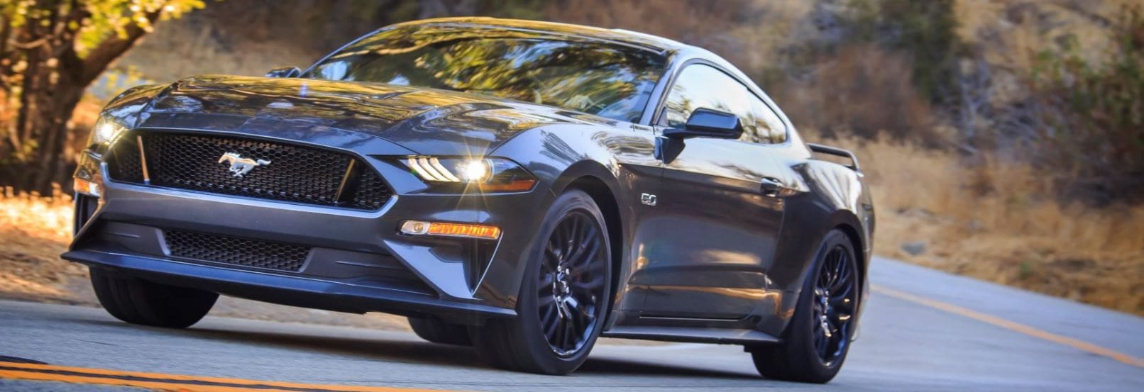 C29.JPG Ford Mustang