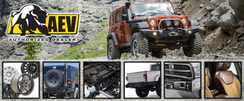 AEV Banner.png