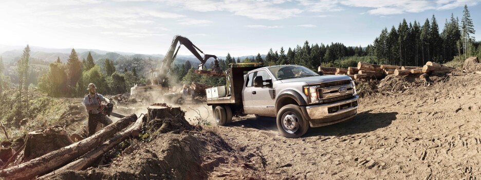 The 2019 Ford F-250 pickup truck available at Sutton Ford Commercial Truck Center