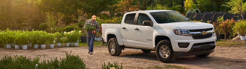 2019-Chevrolet-Colorado-CrewCab-WT(4WT)-Truck