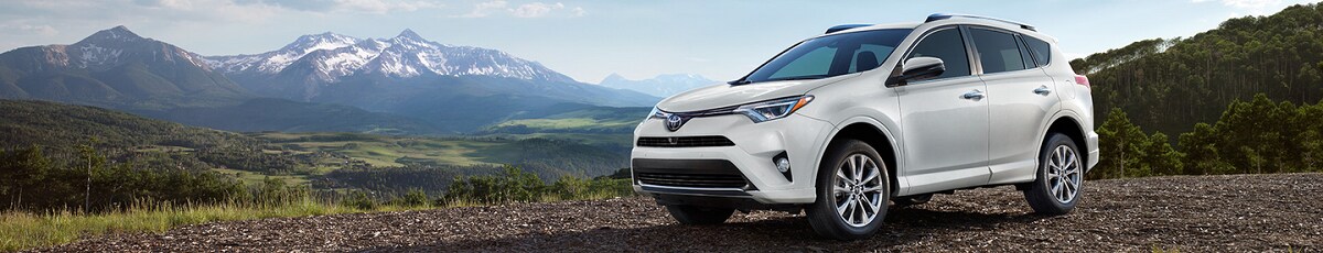 RAV42.png