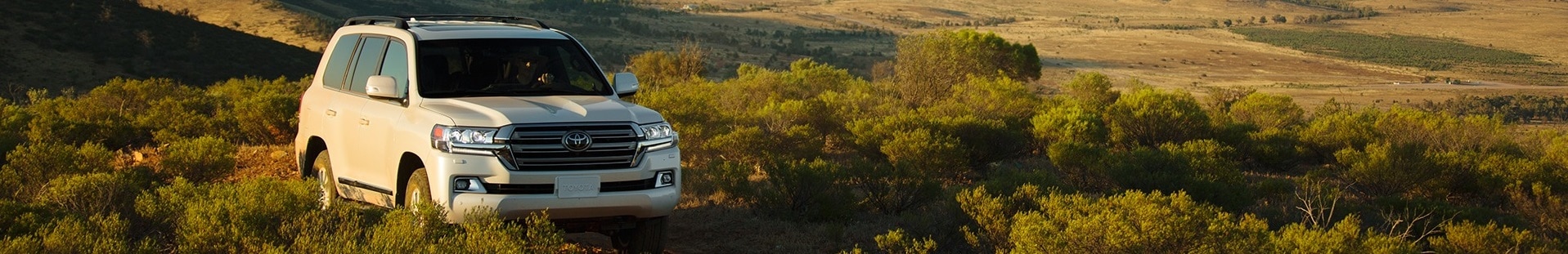 landcruiser1.jpg