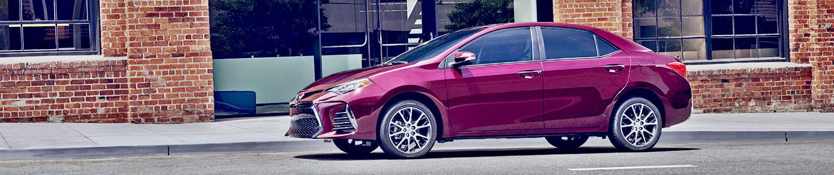 corolla1.png