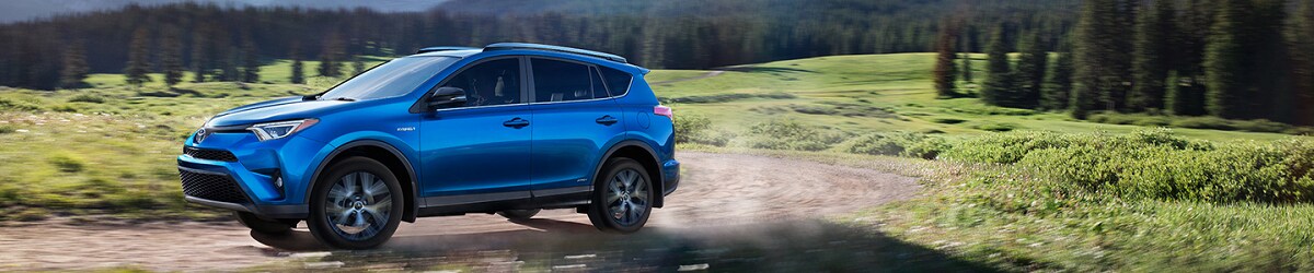 rav41.png