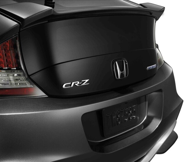 16273_CRZ_TailgateLowerTrim