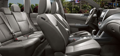 forester6