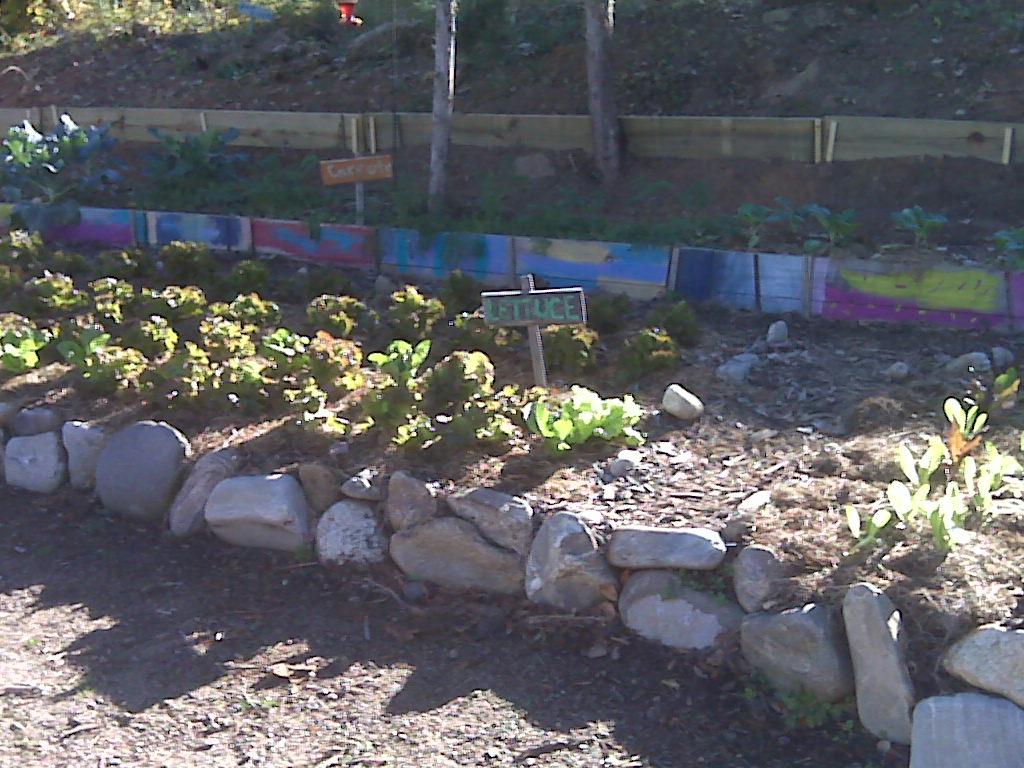 Beautiful garden