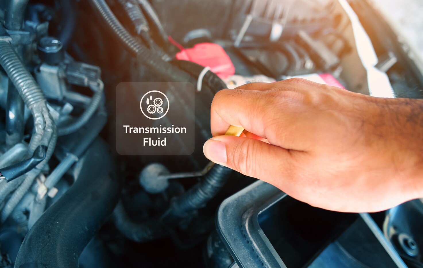 A service technician checking the transmission fluid of a vehicle A service technician checking the transmission fluid of a vehicle
