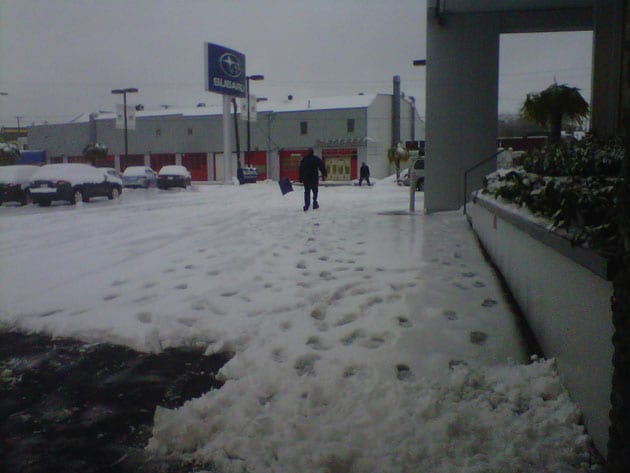 tacoma-subaru---ice.jpg