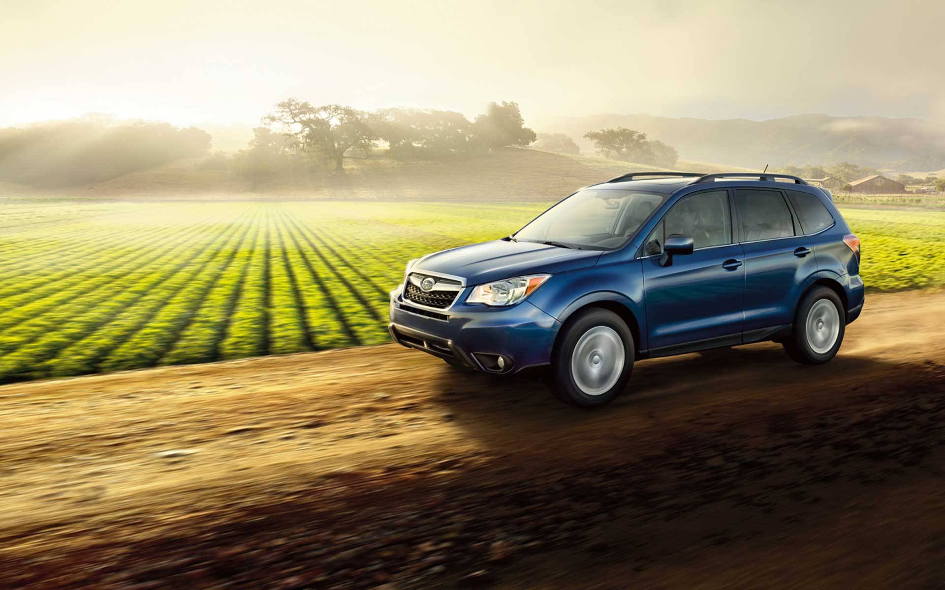 Tacoma 2014 Subaru forester south hill.jpg