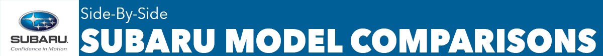header.jpg