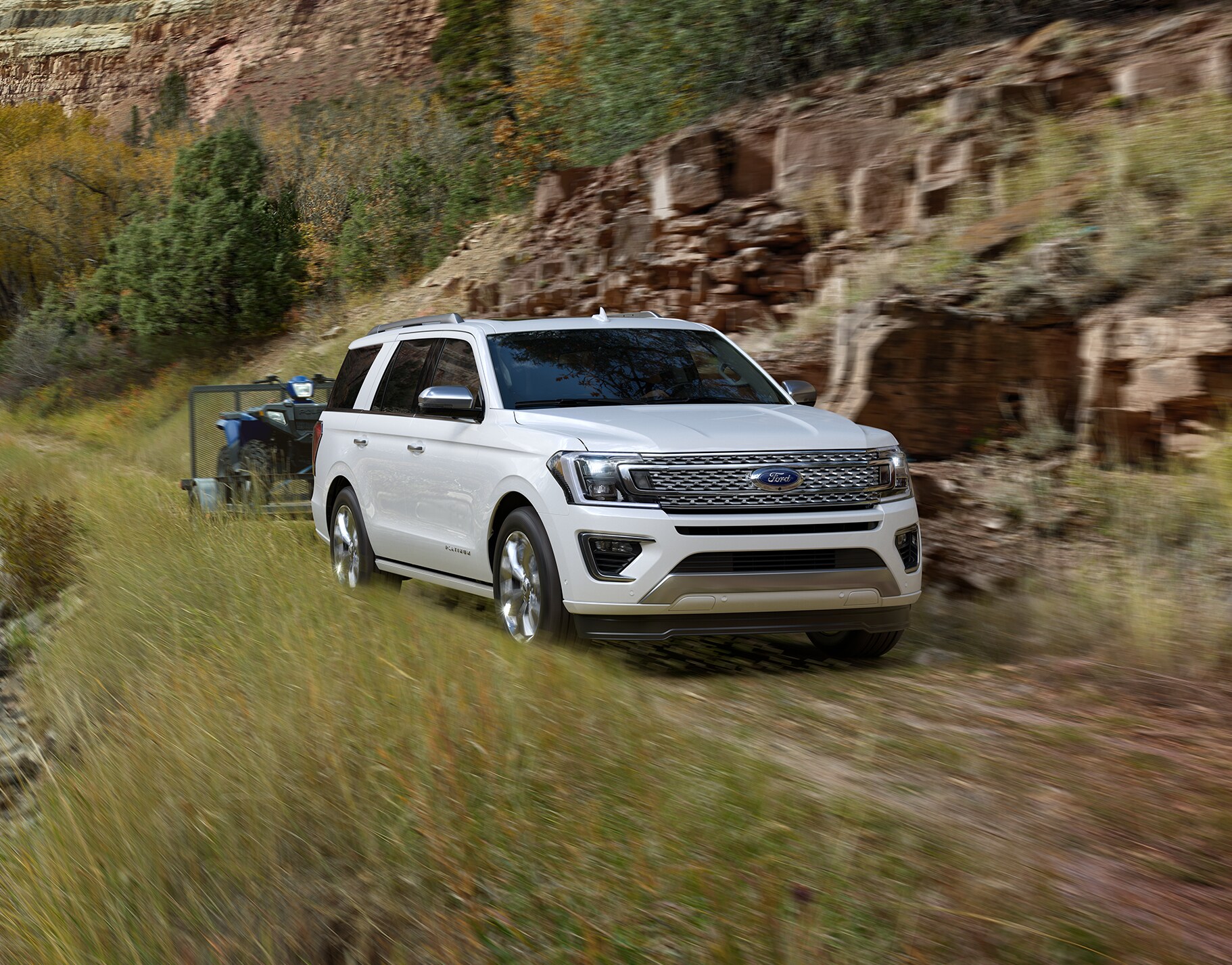2018 Ford Expedition Platinum