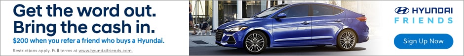 Hyundai Friends Banner.jpg