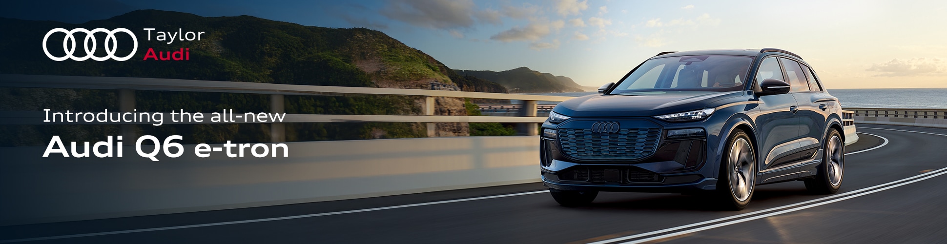 Q6%20etron%20banner.jpg