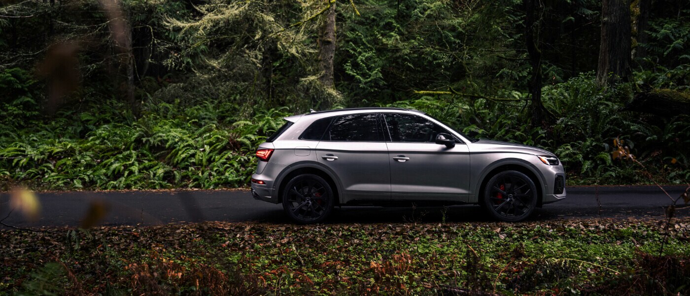 2025 Audi SQ5 Exterior Side View In Forest