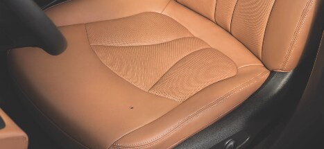 upholstery-normal.png