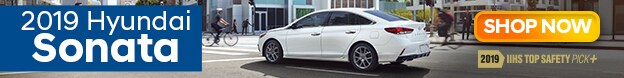 Team Hyundai Sonata Banner