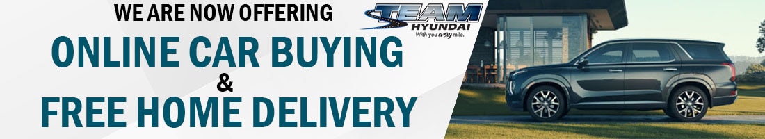 Free Home Delivery VDP Banner New.jpg