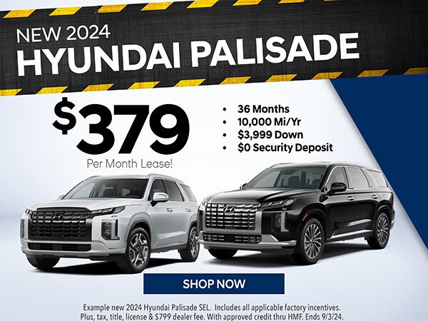 TEHY4142G_Homepage-PalisadeM.jpg
