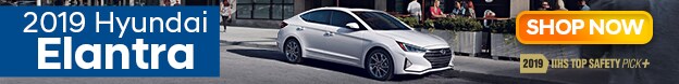 Team Hyundai Elantra Banner