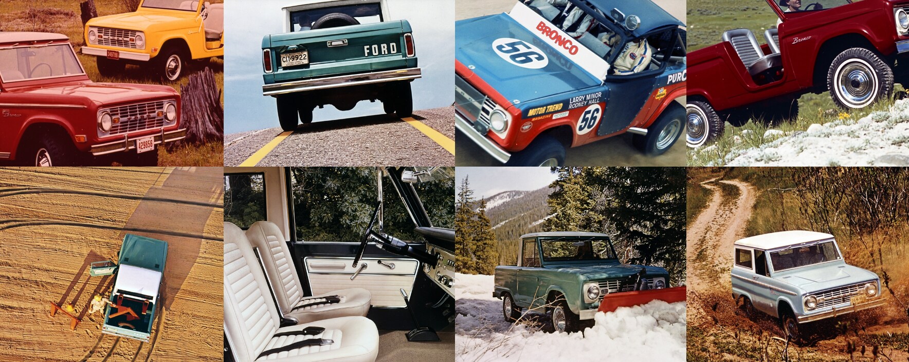 bronco collage.png
