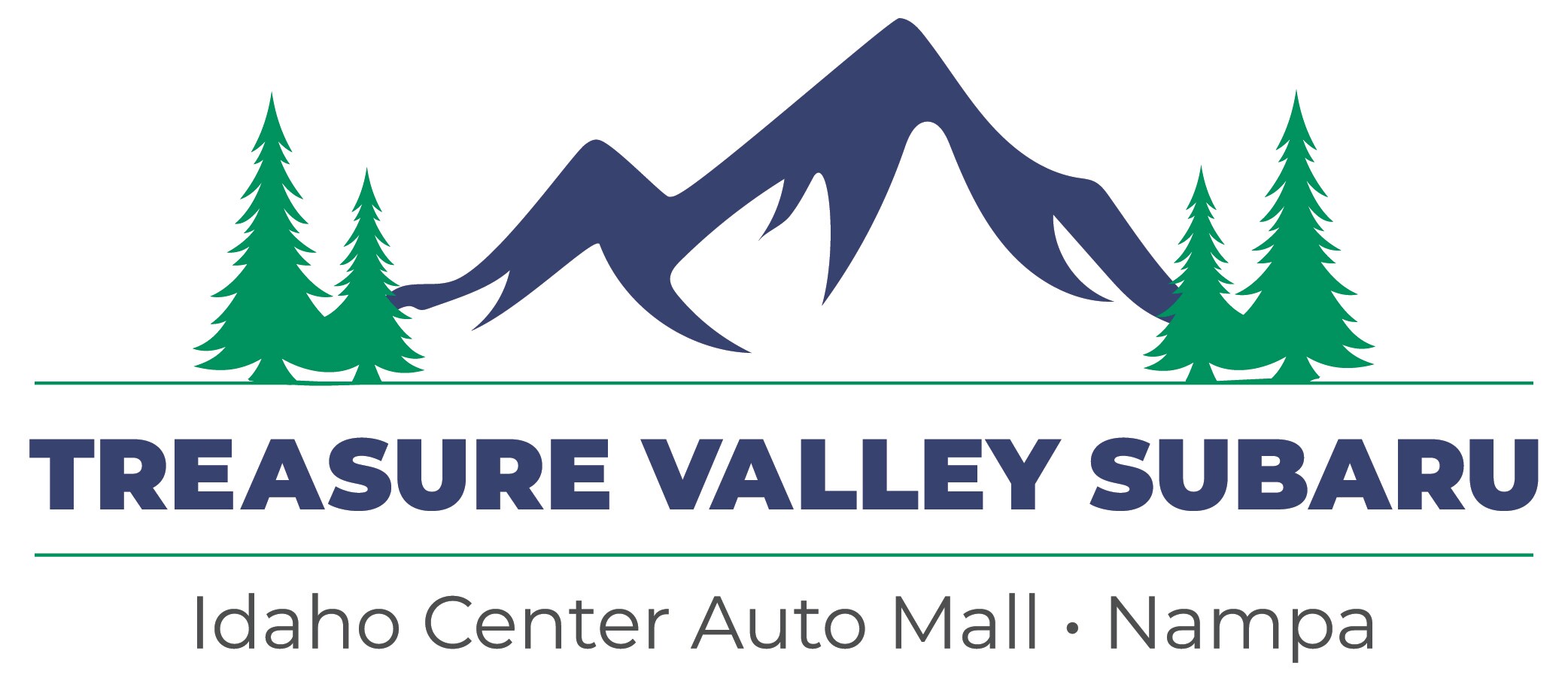 2020-TVSubura-Logo-Color copy.jpg