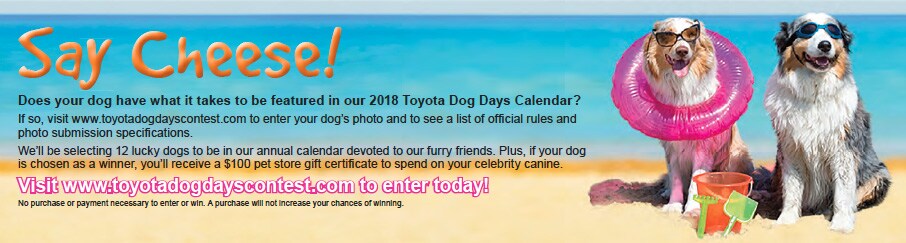 Dog Days Contest